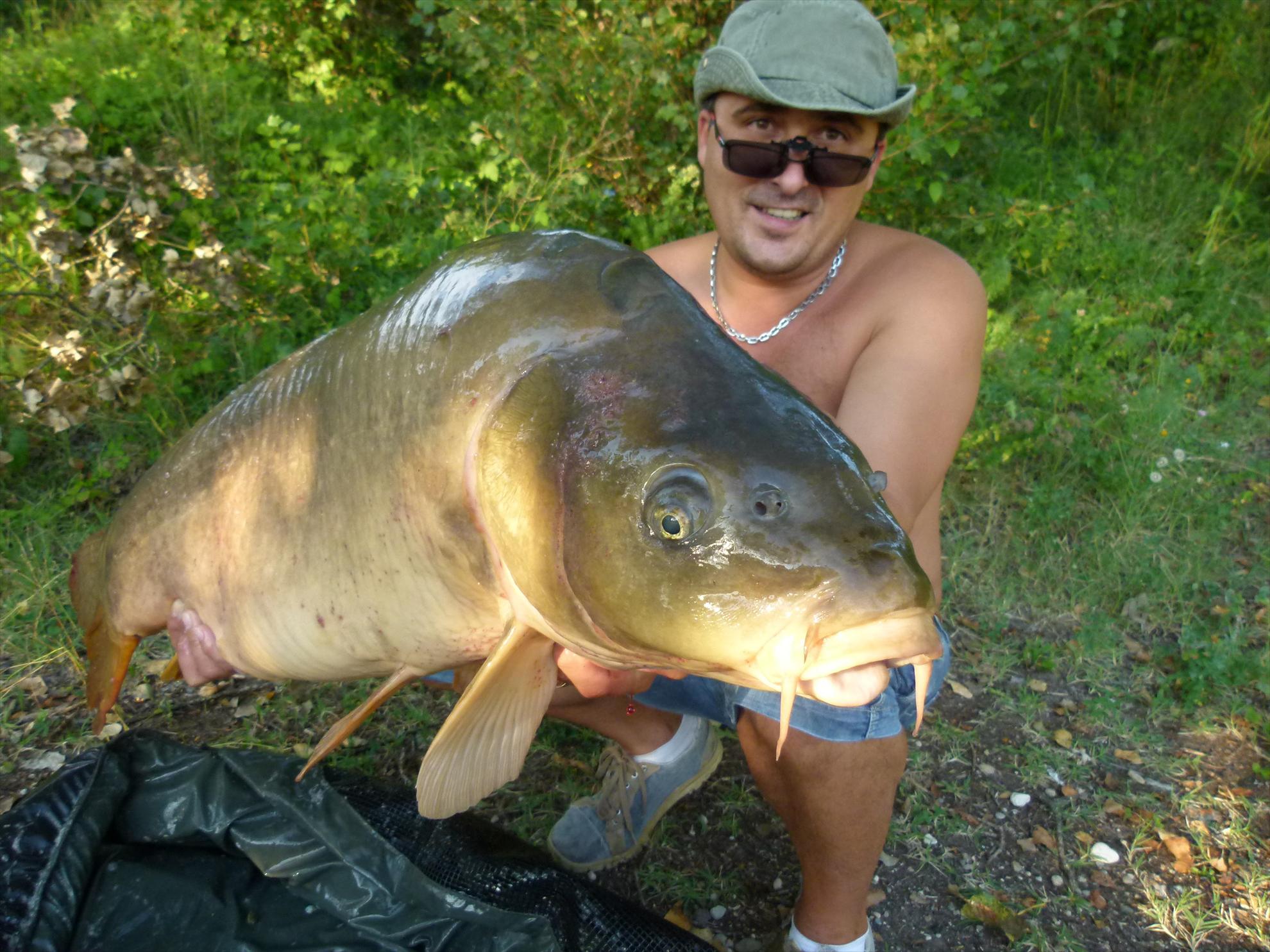 THE BIGS OF 2012 - p1000063.JPG